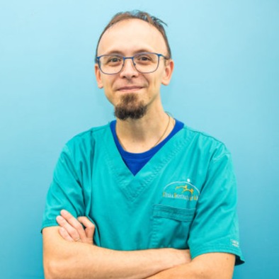 Andrea Amadio Ambulatorio Veterinario Endoscopia gatto Bruino