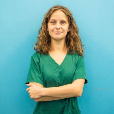 Amanda Adams Ambulatorio Veterinario Endoscopia gatto Bruino