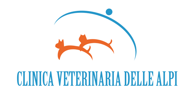 Logo Veterinario Ambulatorio VeterinarioEndoscopia gatto Bruino