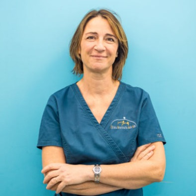 Rita Giovannitti Ambulatorio Veterinario Endoscopia gatto Bruino