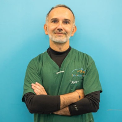 Mauro Longo Ambulatorio Veterinario Endoscopia gatto Bruino